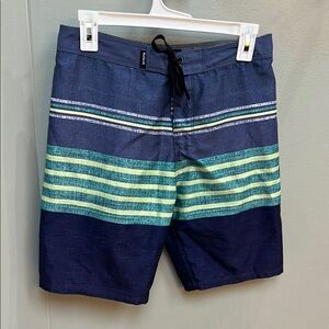 Men's Blue and Green Striped Swim Shorts